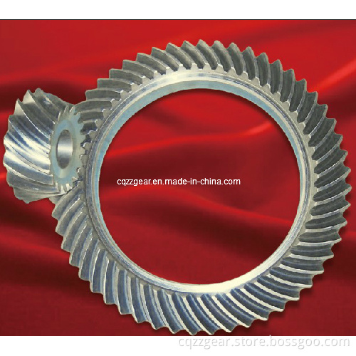 Spiral Bevel Gear (ZG1010)